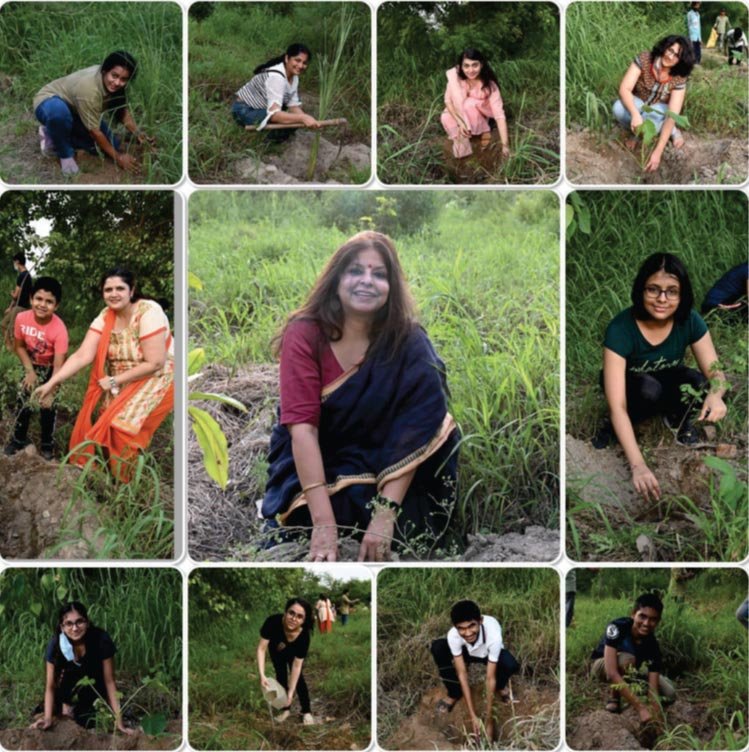 Tree Plantation Drive